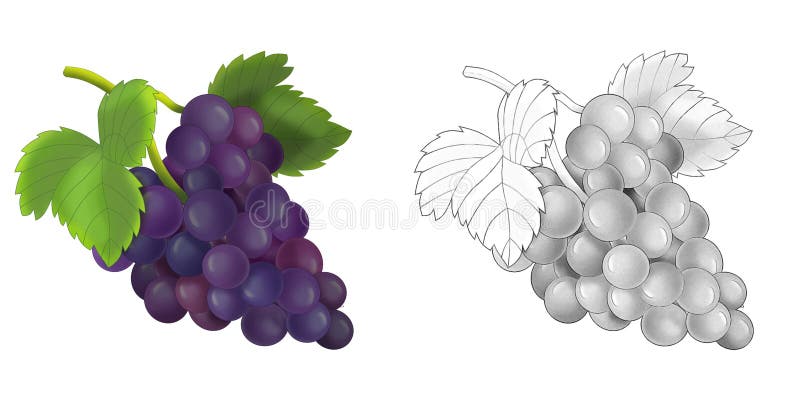 Dibujo De Dibujos Animados Escena De Uvas Vegetales Stock de ilustración - Ilustración de elemento, acortar: 196080855 Dibujo De Dibujos Animados Escena De Uvas Vegetales Stock de ilustración - Ilustración de elemento, acortar: 196080855