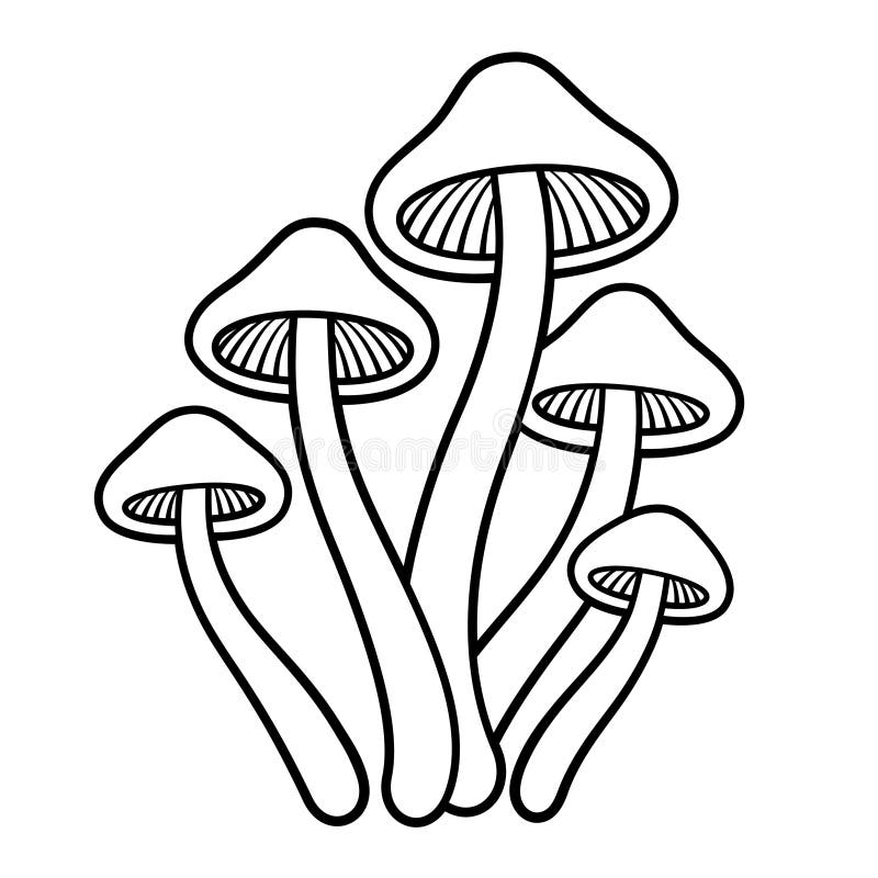 Dibujo de hongos mágicos ilustración del vector. Ilustración de historieta  - 232328932
