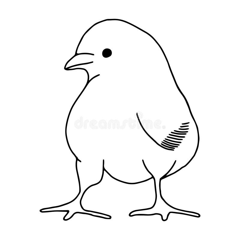 Dibujo De Líneas Dibujadas a Mano De Pollo Dibujo De Contorno Doodles Dibujo Para Las Vacaciones De Pascua Pollo Pequeño La Casa Ilustración del Vector - Ilustración de huevo, deco: 170927620 Dibujo De Líneas Dibujadas a Mano De Pollo Dibujo De Contorno Doodles Dibujo Para Las Vacaciones De Pascua Pollo Pequeño La Casa Ilustración del Vector - Ilustración de huevo, deco: 170927620