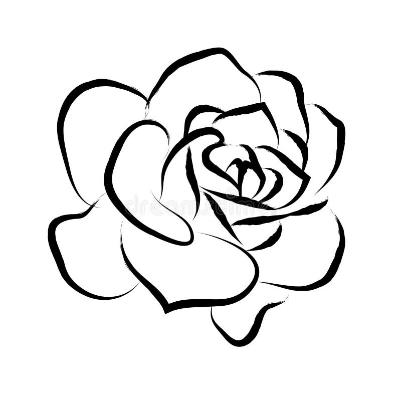 Dibujo De LÃneas De Rosas Negras En Un Fondo Blanco Stock de ilustración -  Ilustración de grabado, elemento: 158343736