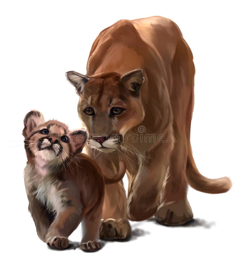 social Por el contrario Nublado Pumas Ilustraciones Stock, Vectores, Y Clipart – (145 Ilustraciones Stock)