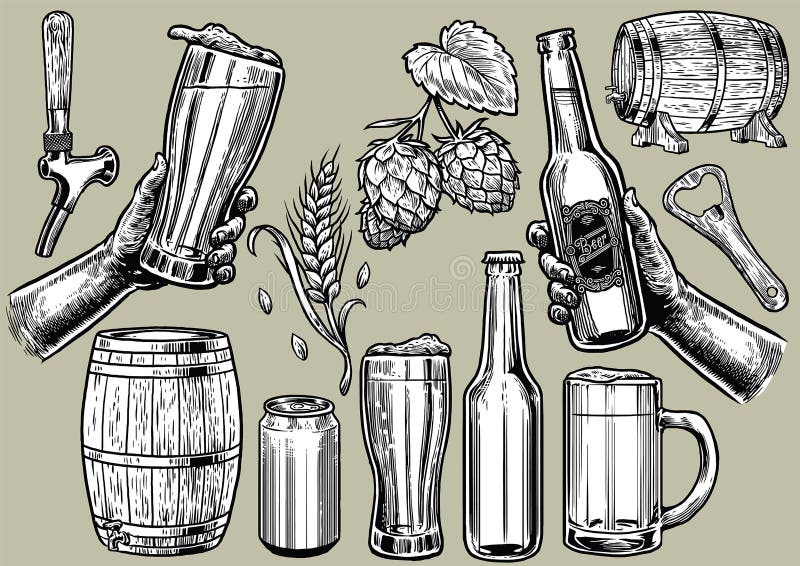 Vector of hand drawing of beer objects in set. Vector of hand drawing of beer objects in set