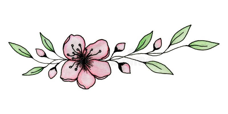 Dibujo De Tinta Y Lápiz De Sakura O Flor De Cerezo Aislado En Una  Ilustración Blanca Y Elegante De La Flor De Cerezo Stock de ilustración -  Ilustración de lindo, chino: 182026196