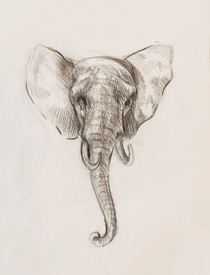 Dibujo De Un Elefante, Dibujando Con Las Líneas Y Las Sombras Stock de ilustración - Ilustración de arte, pintura: 146088868 Dibujo De Un Elefante, Dibujando Con Las Líneas Y Las Sombras Stock de ilustración - Ilustración de arte, pintura: 146088868