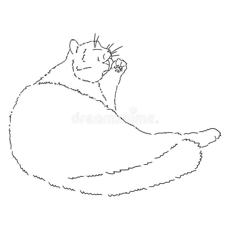 Dibujo De Un Lindo Gato Mentiroso Lamiendo Su Pata. Ilustración En Blanco Y Negro De Un Animal. Imagen Realista De Un Animal Ilustración del Vector - Ilustración de aislado, nariz: 216165078 Dibujo De Un Lindo Gato Mentiroso Lamiendo Su Pata. Ilustración En Blanco Y Negro De Un Animal. Imagen Realista De Un Animal Ilustración del Vector - Ilustración de aislado, nariz: 216165078