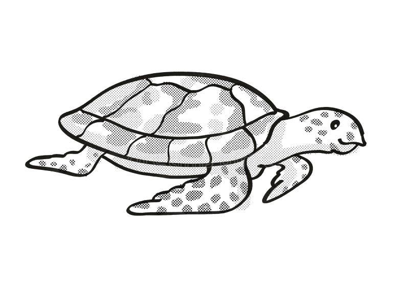 Dibujo De Una Línea Monocroma En Peligro De Extinción De Tortuga De  Hawksbill Stock de ilustración - Ilustración de mano, portilla: 161496940