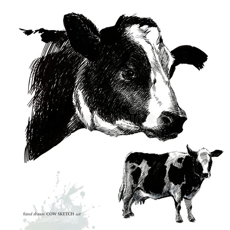 Dibujo De Vaca Ilustración De Vaca Reproductora Ganadería Ganado Serie De Animales De Granja Stock de ilustración - Ilustración de cubo, bosquejo: 179887132 Dibujo De Vaca Ilustración De Vaca Reproductora Ganadería Ganado Serie De Animales De Granja Stock de ilustración - Ilustración de cubo, bosquejo: 179887132