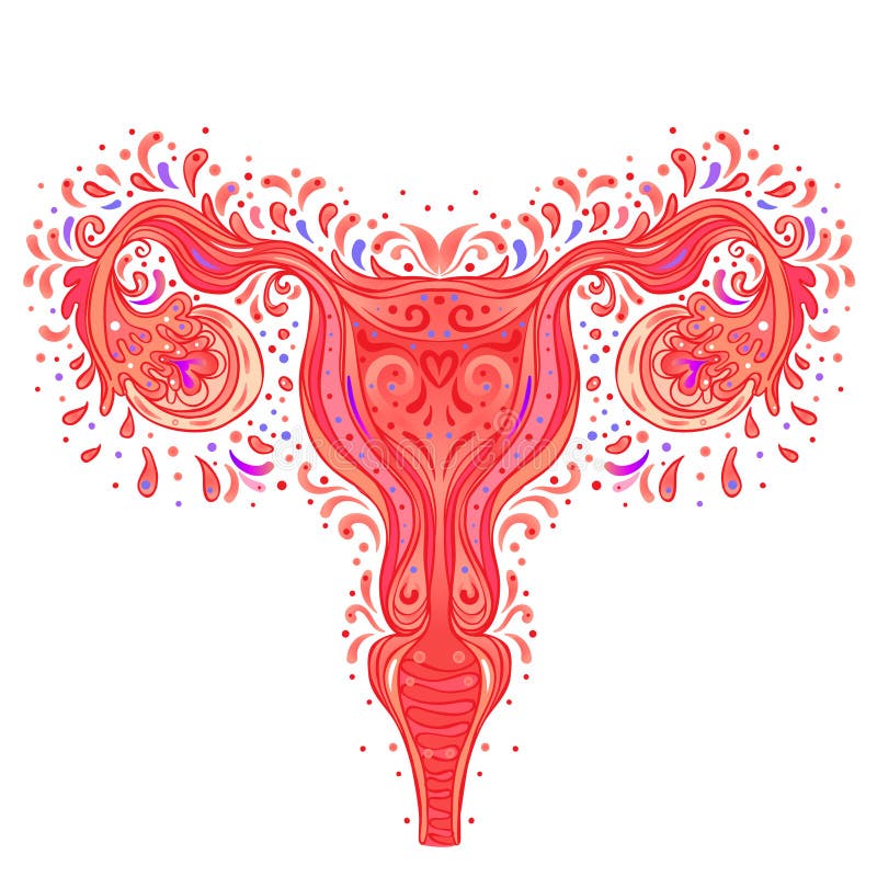 Dibujo Decorativo Del Sistema Reproductor De Las Hembras