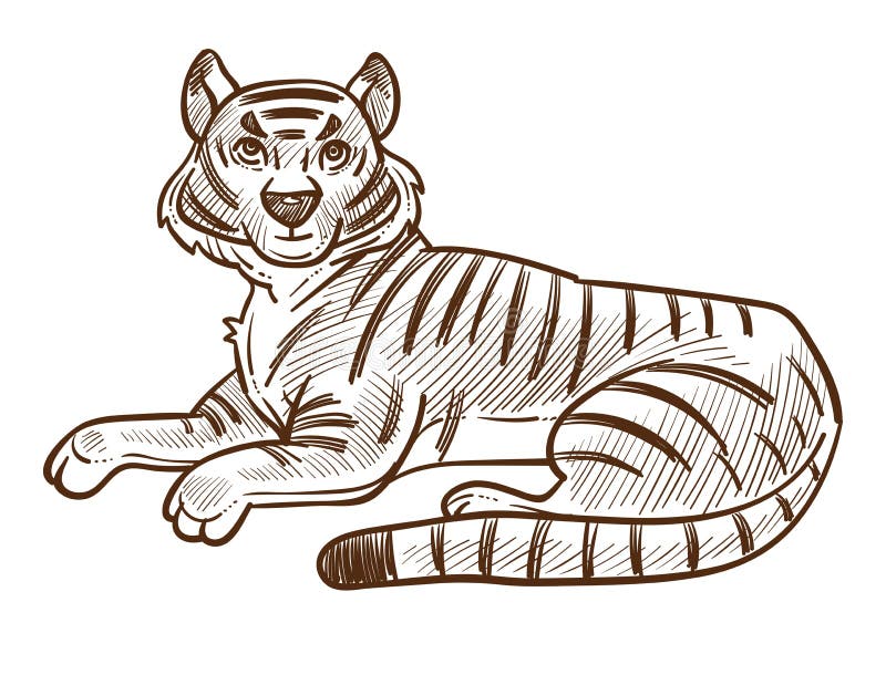 Dibujo Del Dibujo a Mano Del Animal Tigre Ilustración del Vector - Ilustración de imagen, raya: 163262617 Dibujo Del Dibujo a Mano Del Animal Tigre Ilustración del Vector - Ilustración de imagen, raya: 163262617