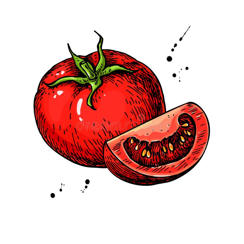 Resultado de imagen de tomate dibujo