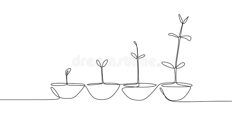 Dibujo lineal continuo de los procesos del crecimiento vegetal stock de ilustración