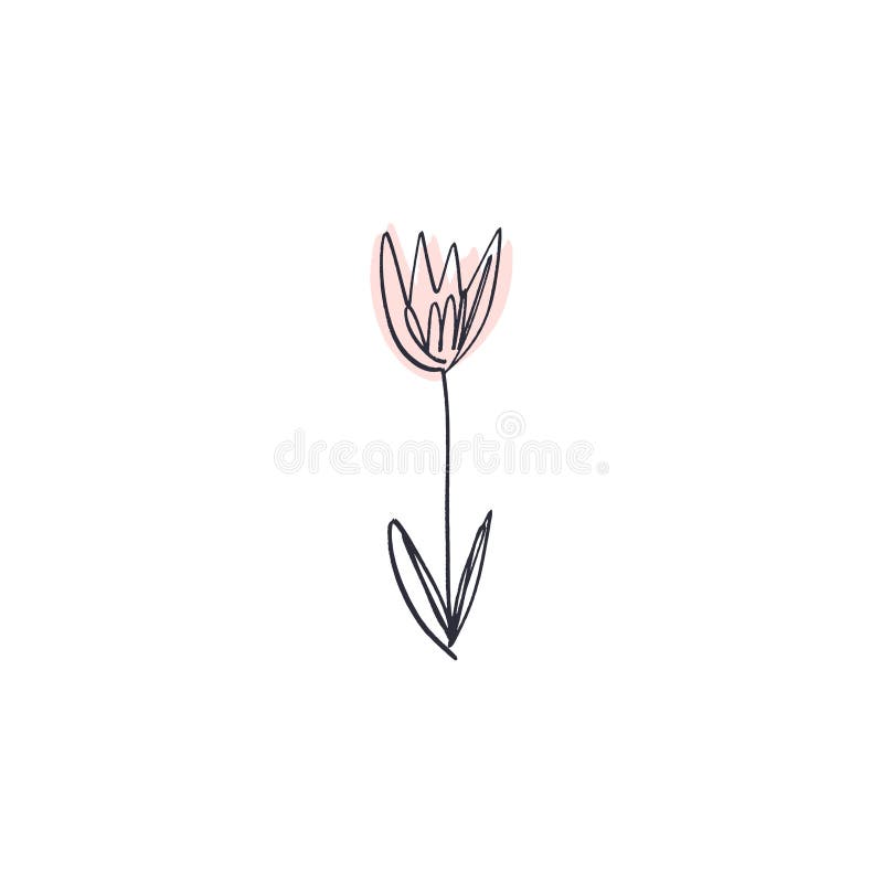 Dibujo Minimalista De La Flor Del Contorno Una Línea Arte Stock de  ilustración - Ilustración de cubo, flor: 137539638