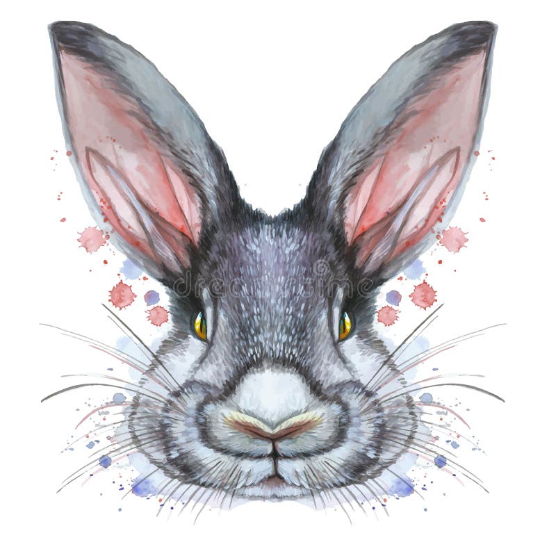 Dibujo pintado con el retrato de la acuarela de una liebre animal del conejo del mamífero en colores de la cama libre illustration Dibujo pintado con el retrato de la acuarela de una liebre animal del conejo del mamífero en colores de la cama libre illustration