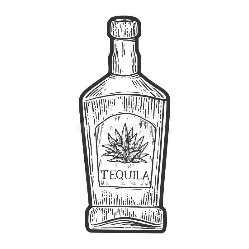 Dibujo Vectorial De Botella Tequila Ilustración del Vector - Ilustración de  barra, botella: 171566554