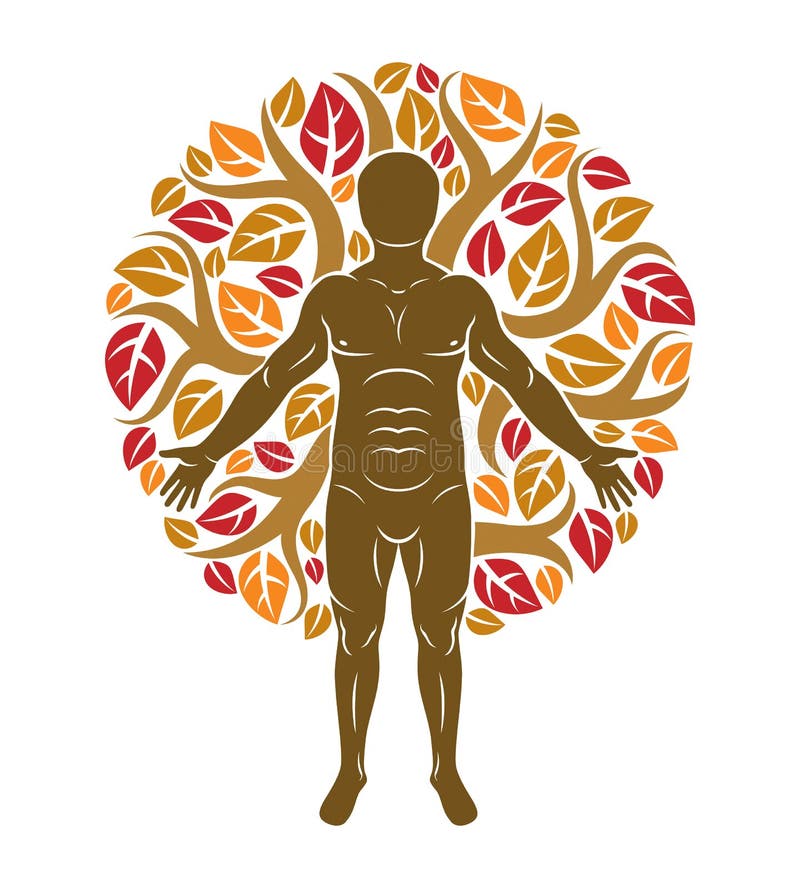Dibujo Vectorial Del Ser Humano Muscular, Rodeado De Hojas Ecológicas Del árbol De Otoño Viviendo En Armonía Con La Naturaleza, Ilustración del Vector - Ilustración de atleta, herbario: 161216883 Dibujo Vectorial Del Ser Humano Muscular, Rodeado De Hojas Ecológicas Del árbol De Otoño Viviendo En Armonía Con La Naturaleza, Ilustración del Vector - Ilustración de atleta, herbario: 161216883