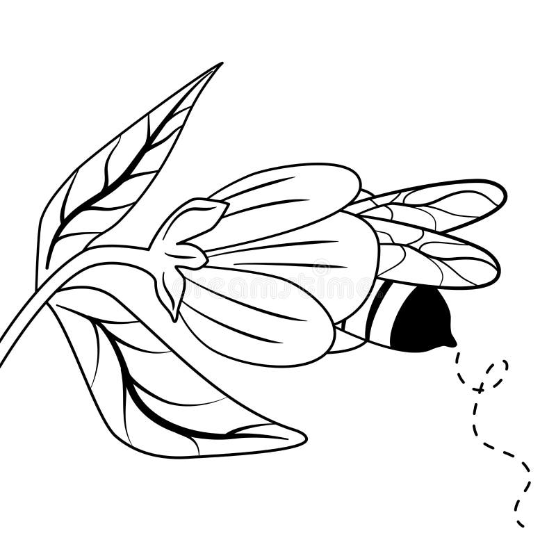 Dibujos Animados Bonitos Ilustraciones Vectoriales En Blanco Y Negro Con  Abeja Y Flor Para El Arte Colorido Ilustración del Vector - Ilustración de  floral, libro: 250876117