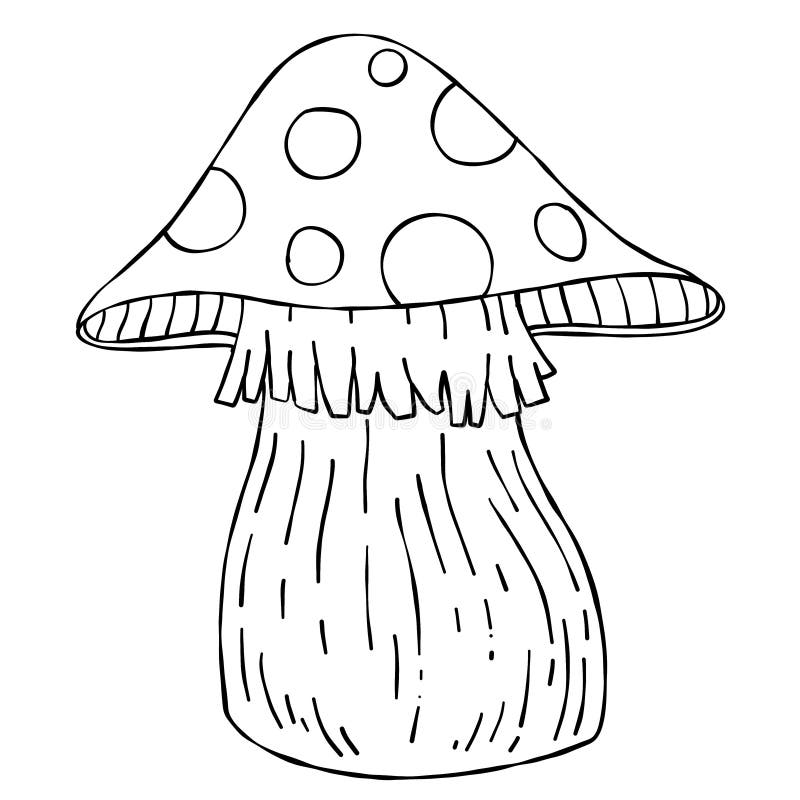  Dibujos de hongos ilustración del vector. Ilustración de seta -