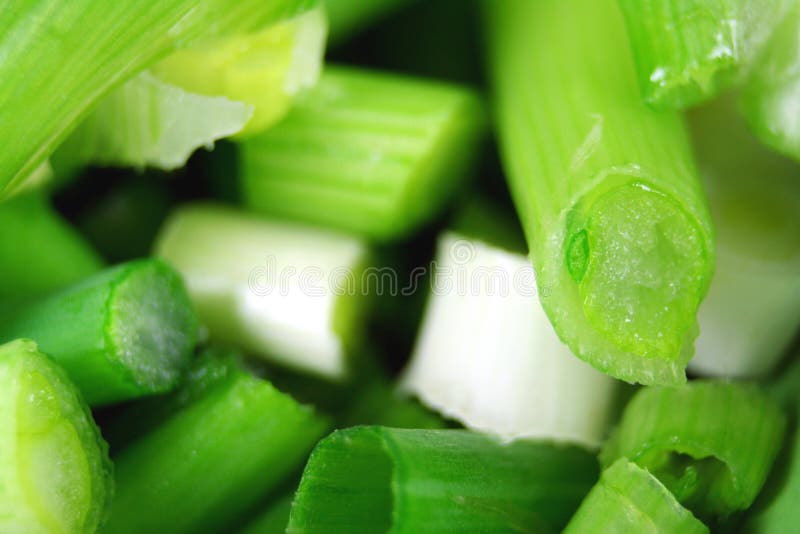 Onions Picture. Image 1640487