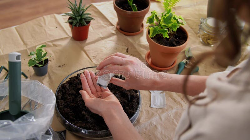 Dicht bij een vrouw die bloemen in haar hand giet