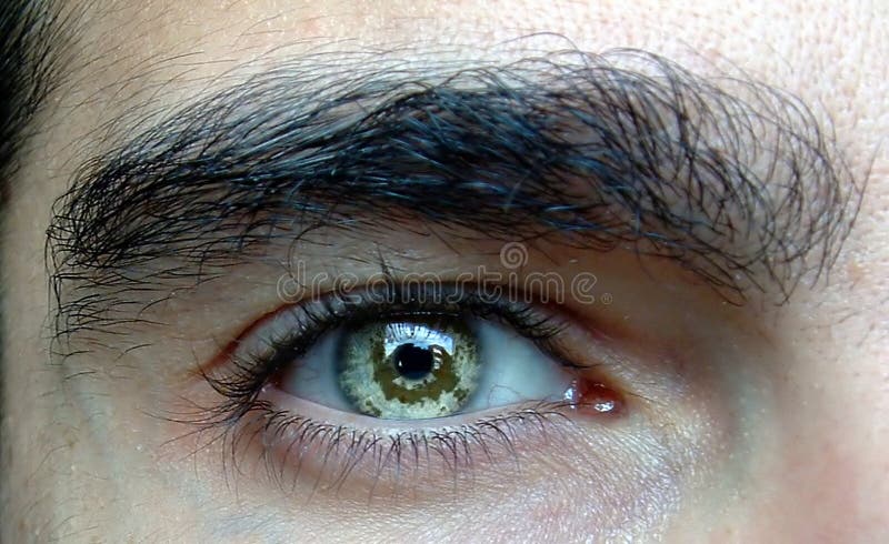 Dichte omhooggaand van het oog stock afbeelding Dichte omhooggaand van het oog stock afbeelding