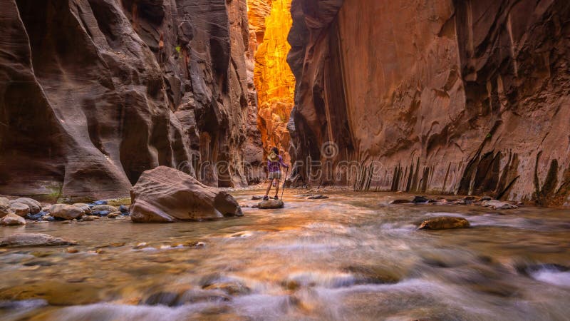 Amazing landscape of canyon in Zion National Park, The Narrow in USA. Amazing landscape of canyon in Zion National Park, The Narrow in USA