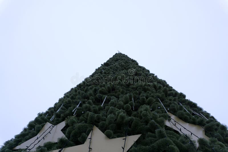 Die Beleuchtung vom Weihnachtsbaum lizenzfreies stockbild Die Beleuchtung vom Weihnachtsbaum lizenzfreies stockbild