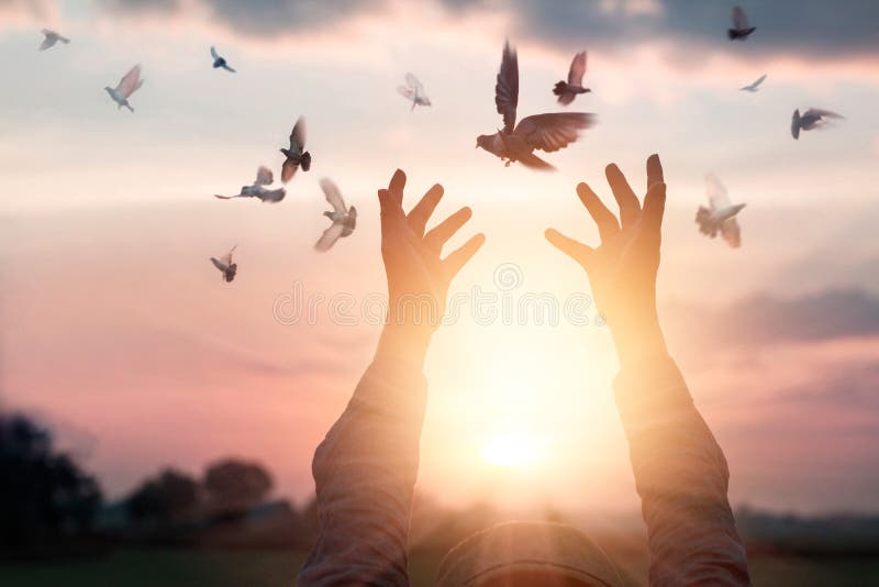 Die betende Frau und geben die Vögel zur Natur auf Sonnenunterganghintergrund frei