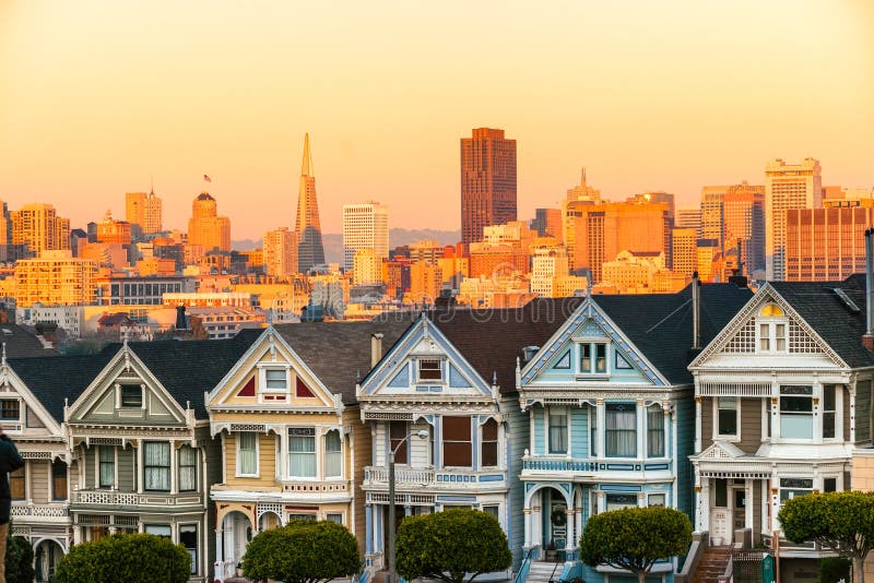 Die Distelfalter von San Francisco, Kalifornien sitzen das Glühen unter stockfotografie Die Distelfalter von San Francisco, Kalifornien sitzen das Glühen unter stockfotografie