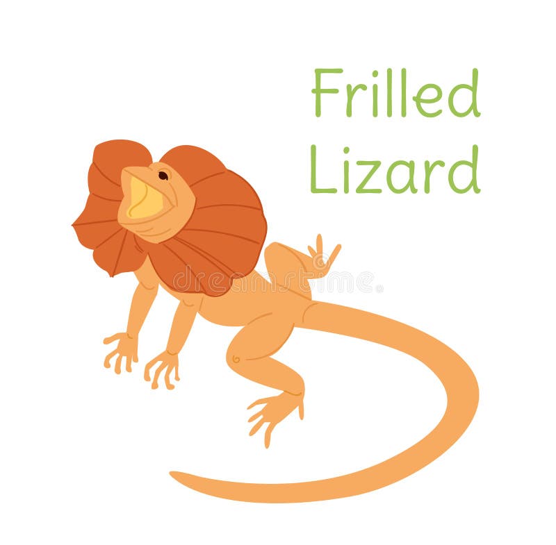 The frilled lizard is sitting. Australian bird in a simple style. Flat vector illustration isolated on white background. The frilled lizard is sitting. Australian bird in a simple style. Flat vector illustration isolated on white background