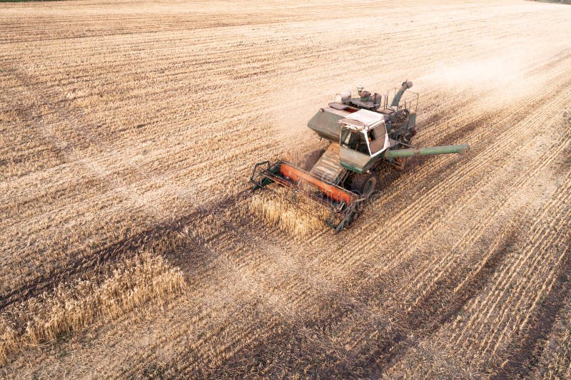 Die Erntemaschine, die auf dem Gebiet arbeitet und mäht Weizen ukraine Schattenbild des kauernden Geschäftsmannes lizenzfreie stockfotos Die Erntemaschine, die auf dem Gebiet arbeitet und mäht Weizen ukraine Schattenbild des kauernden Geschäftsmannes lizenzfreie stockfotos