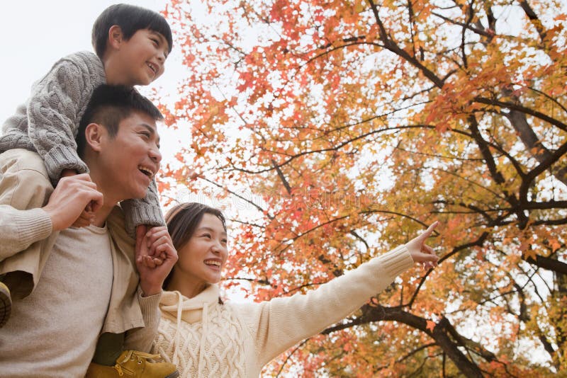 Die Familie, die durch den Park im Herbst, der kleine Junge sitzt auf seinen Vätern geht, schultert stockbilder Die Familie, die durch den Park im Herbst, der kleine Junge sitzt auf seinen Vätern geht, schultert stockbilder