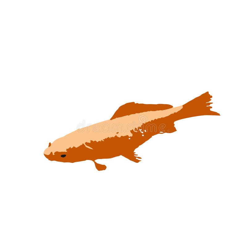 Die farbige Vektorillustration Goldfischen isoliert von den im weißen Hintergrund stock abbildung