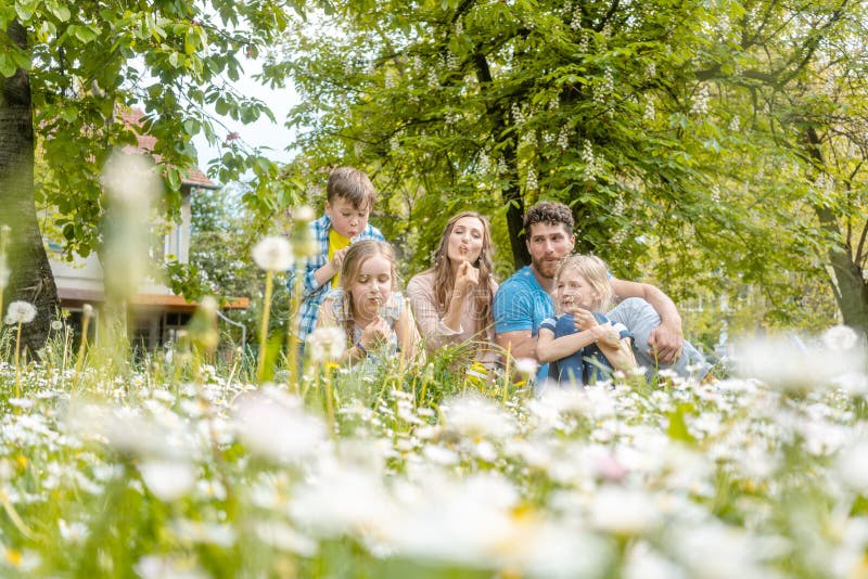 Die fünfköpfige Familie, die auf einem Schlaglöwenzahn der Wiese sitzt, blüht stockfotos