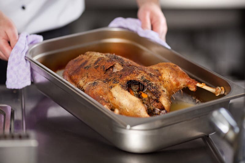 Die Hand des Chefs, die Behälter von der gegrillten Türkei hält lizenzfreies stockfoto