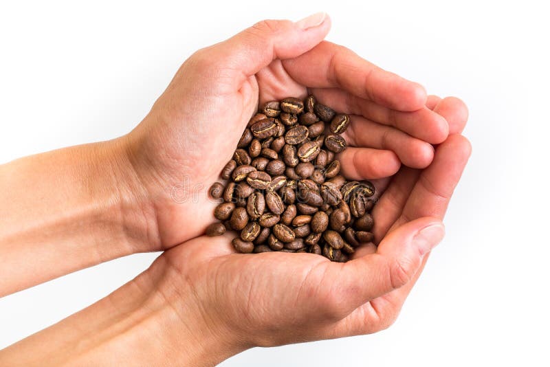 Die Hände der Frau, die Kaffeebohnen halten stockfoto Die Hände der Frau, die Kaffeebohnen halten stockfoto