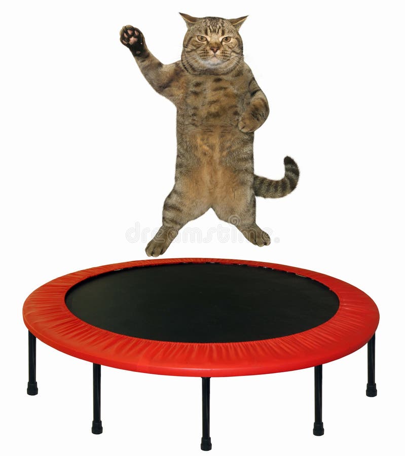 Die Katze Springend Auf Eine Trampoline Stock Abbildung Illustration