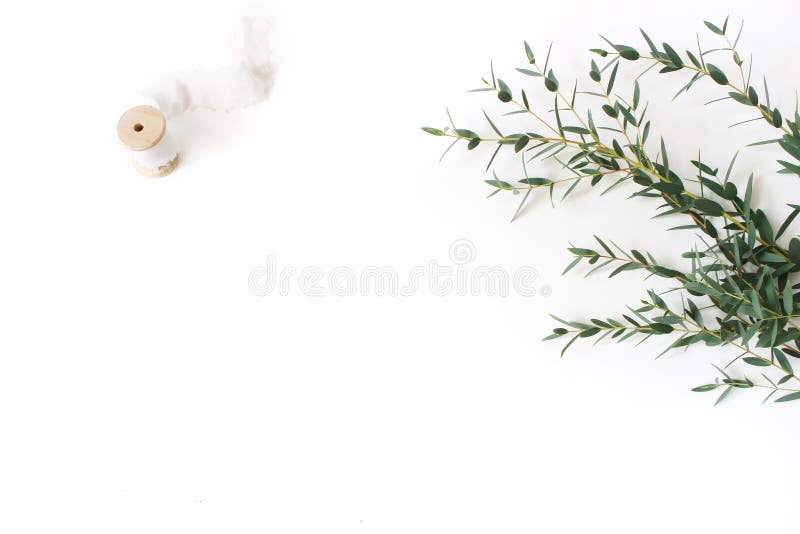 Die kreative Zusammensetzung, die von grünem Eukalyptus parvifolia gemacht wird, verzweigt sich, Seidenband und hölzerne Spule au lizenzfreie stockfotografie Die kreative Zusammensetzung, die von grünem Eukalyptus parvifolia gemacht wird, verzweigt sich, Seidenband und hölzerne Spule au lizenzfreie stockfotografie