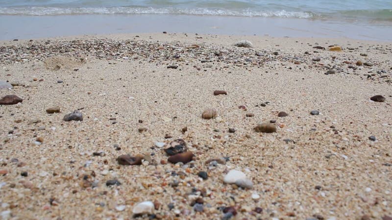 Die Meereswellen werden zum Ufer auf Sandstrand geworfen