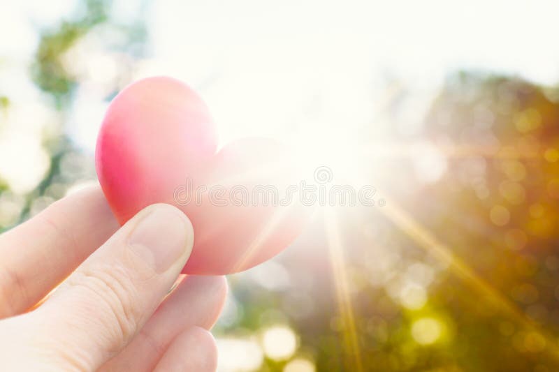 Unrecognisable person holding heart shaped plum against the sun. Love concept lifestyle image with sun flare. Valentine`s day background. Unrecognisable person holding heart shaped plum against the sun. Love concept lifestyle image with sun flare. Valentine`s day background.