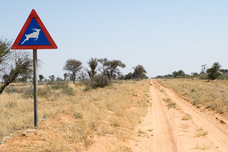 Die sandige Straße von Kgalagadi N.P. zu Ghanzi stockbilder Die sandige Straße von Kgalagadi N.P. zu Ghanzi stockbilder