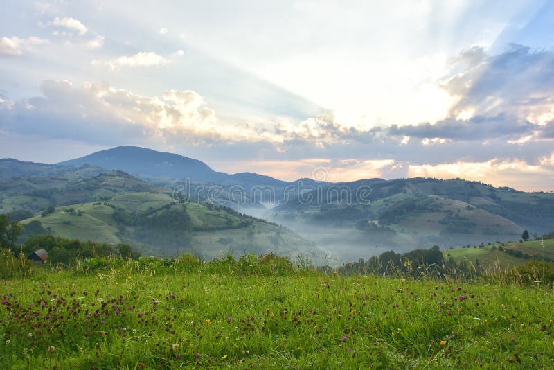 Die schöne Alpenwiese mit grünem Gras SONNENAUFGANG Landschaft auf wilden Siebenbürgen-Hügeln Holbav rumänien Zurückhaltendes, du lizenzfreie stockfotografie Die schöne Alpenwiese mit grünem Gras SONNENAUFGANG Landschaft auf wilden Siebenbürgen-Hügeln Holbav rumänien Zurückhaltendes, du lizenzfreie stockfotografie