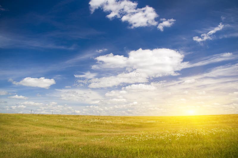 Die Sonne Im Blauen Himmel Oben Der Blumenwiese. Stockfoto - Bild von