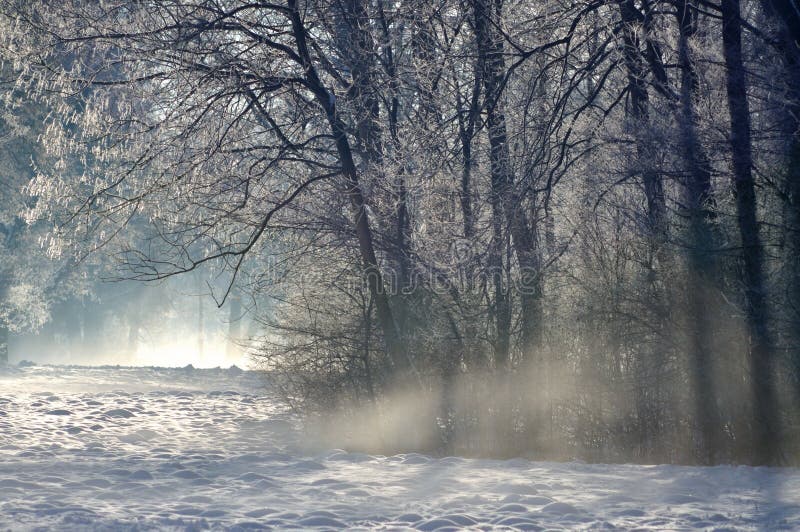 The morning sun is coming out while still the mist is covering the wintery landscape. The morning sun is coming out while still the mist is covering the wintery landscape