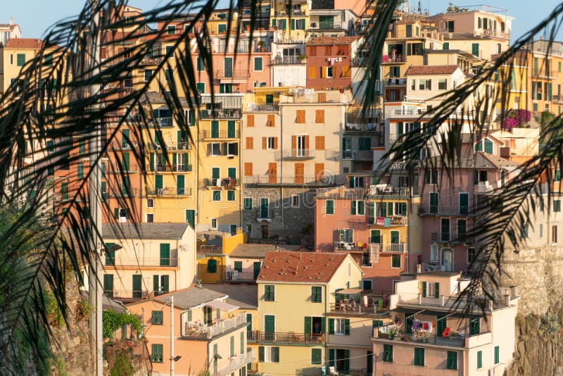 Die Stadt von manarola durch Palmblätter stockbild Die Stadt von manarola durch Palmblätter stockbild