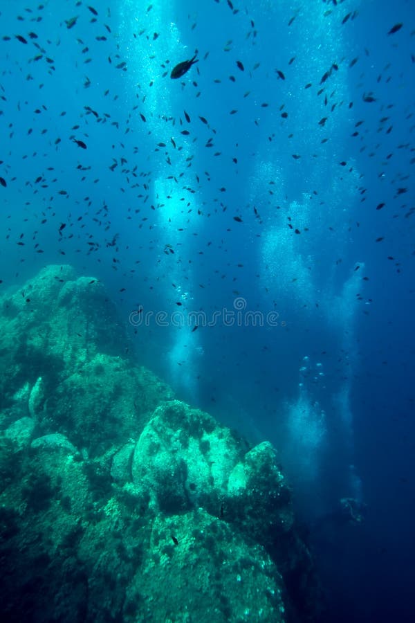 Die Unterwasserwelt stockfoto. Bild von meer, marinesoldat - 22426780