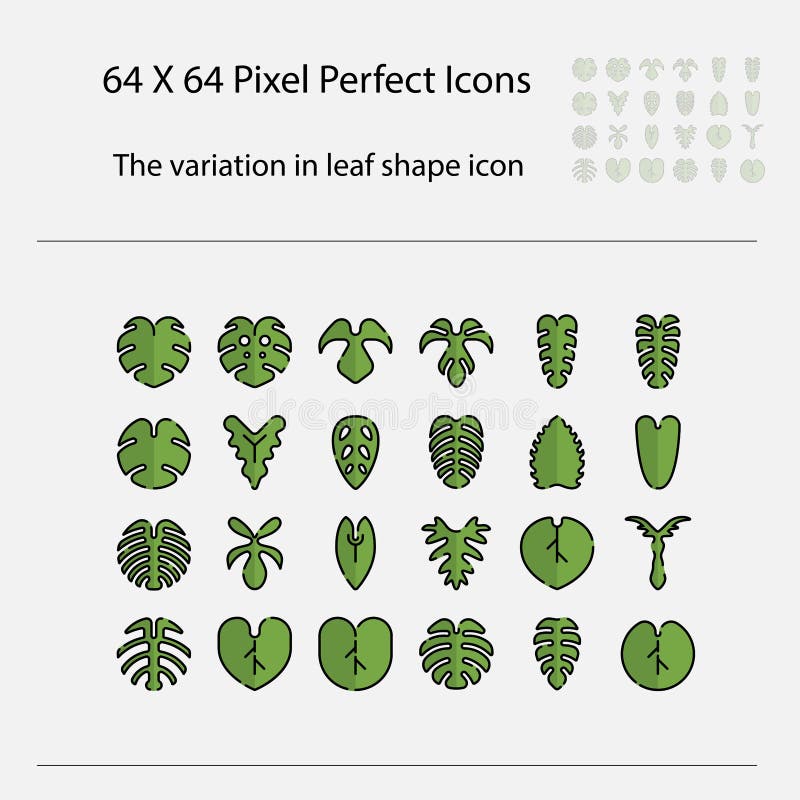 Die Variation des Blattsymbols. Variation von Blättern Vektor gefüllt Umrisssymbol lizenzfreie abbildung