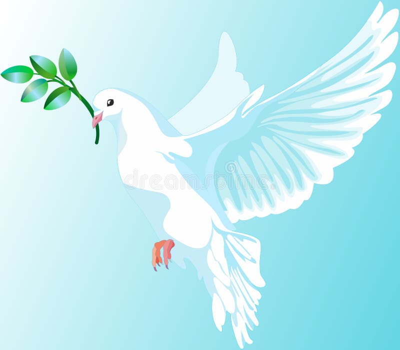 Weiße Taube Frieden