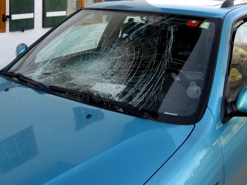 Magnetischer Heckscheiben-Sonnenschutz Für Auto - 50x100cm UV Schutz Klappbar