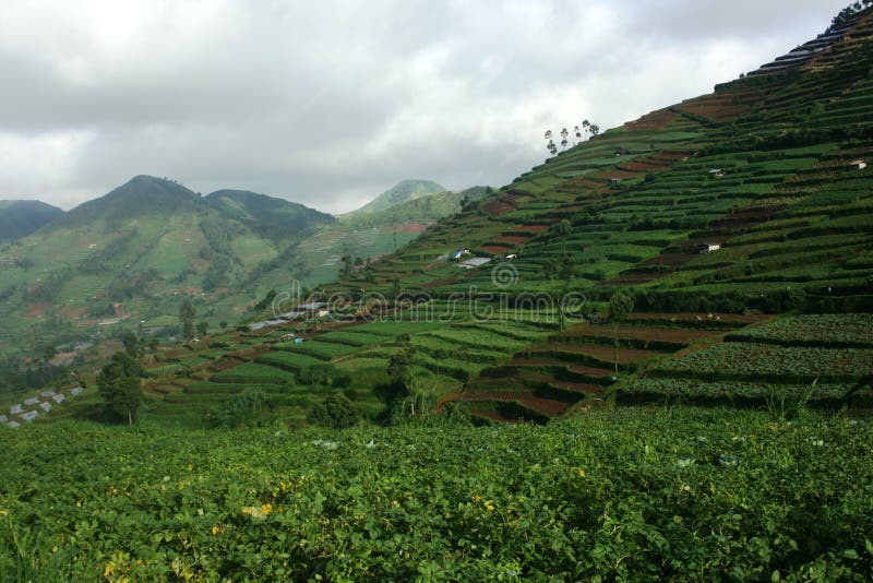 Dieng plateau