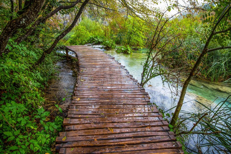 Diepe bosstroom Glashelder water De Meren van Plitvice, Kroatië royalty-vrije stock fotografie Diepe bosstroom Glashelder water De Meren van Plitvice, Kroatië royalty-vrije stock fotografie